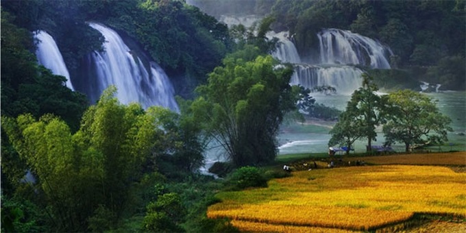 Festival in honour of Vietnam’s widest waterfall - 1