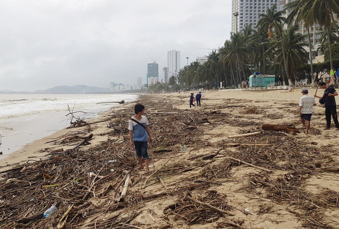 Nha Trang Beach covered in driftwood after rains - 1