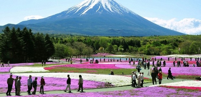 Vietnamese spend big money on shopping during overseas trips - 1