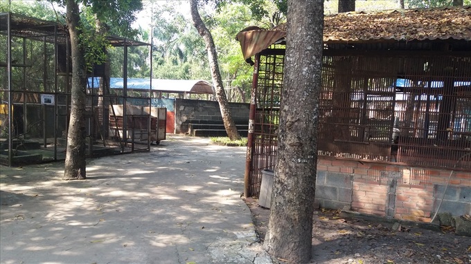 Rare wild animals sharply fall in numbers at Ho Chi Minh City rescue centre - 1