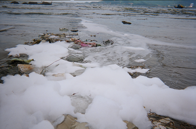 Vietnam looks to lessen toxic chemical use - 1