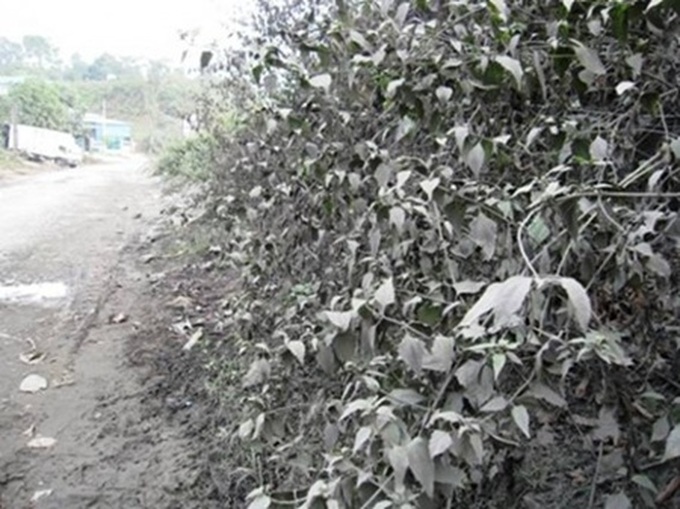 Copper mine inflicts misery in Lao Cai - 1