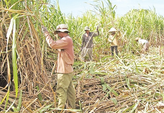 Sugar industry needs drastic reforms - 1