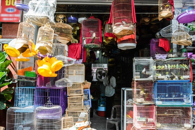 Bird selling booms for July festival - 1