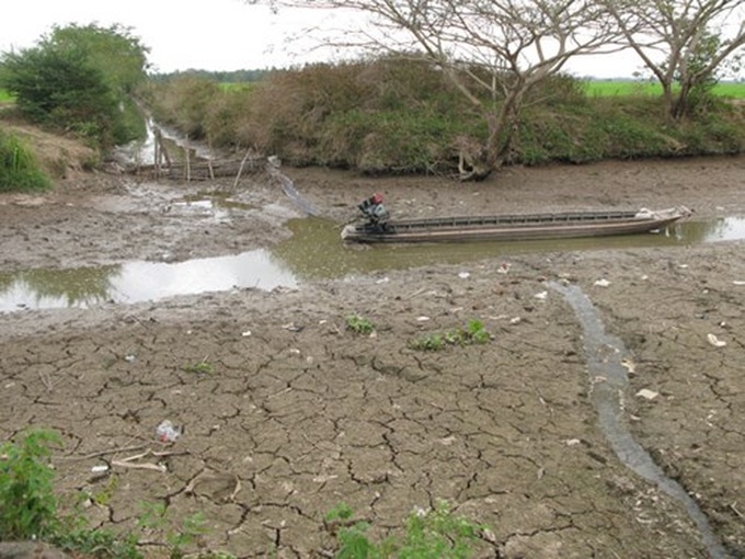 Seawater encroaches on farm land in Soc Trang - 1