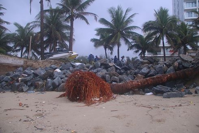 Danang beach covered with waste following torrential rains - 4 Danang beach covered with waste following torrential rains - 4