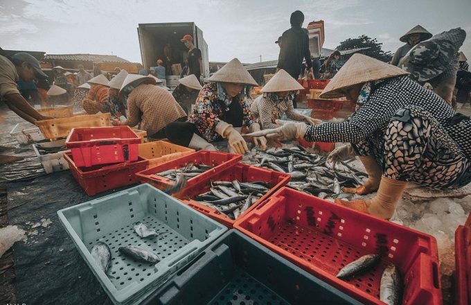 Bustling fishing port in Ba Ria-Vung Tau - 4