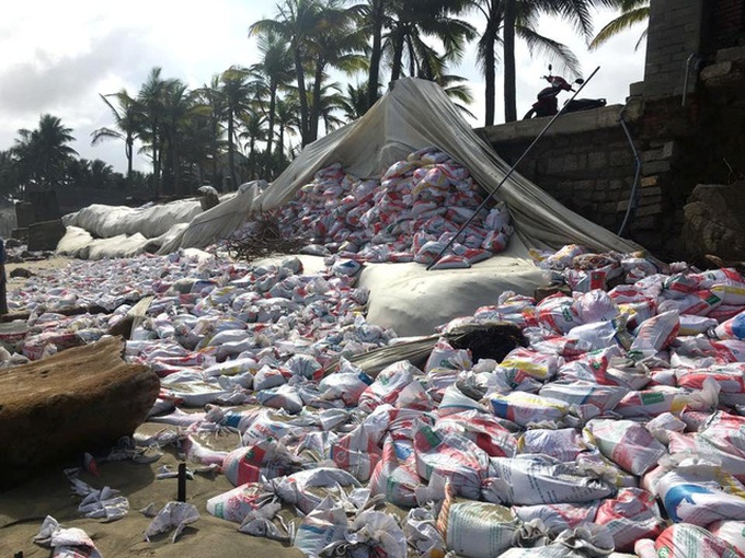 Hoi An seeks government help to protect Cua Dai Beach - 2