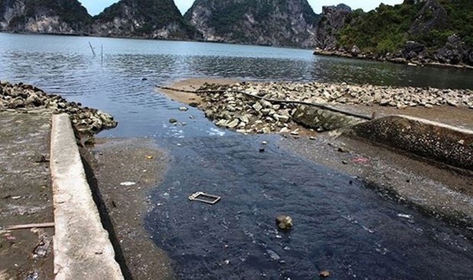 Wastewater ruining Ha Long Bay - 2