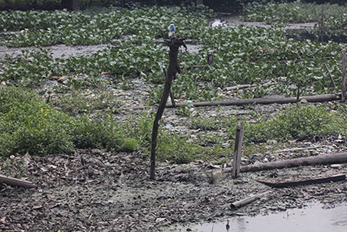 Proliferation of restaurants around West Lake causes pollution - 3 Proliferation of restaurants around West Lake causes pollution - 3