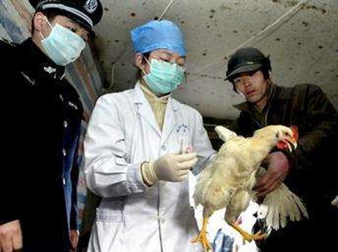 PM wants tighter control over spread of bird flu - 1