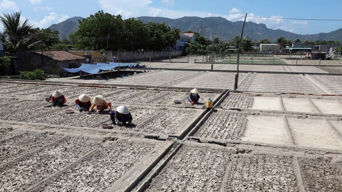 ADB project to improve agricultural productivity in Vietnam - 1 ADB project to improve agricultural productivity in Vietnam - 1