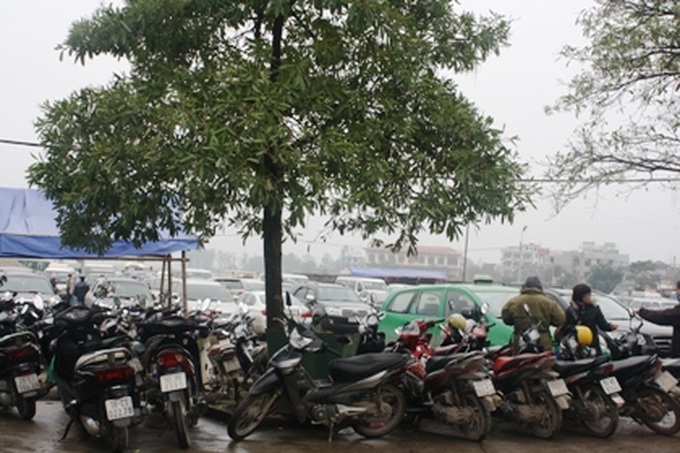 Prices go up as tourists flock to the Huong Pagoda Festival - 3