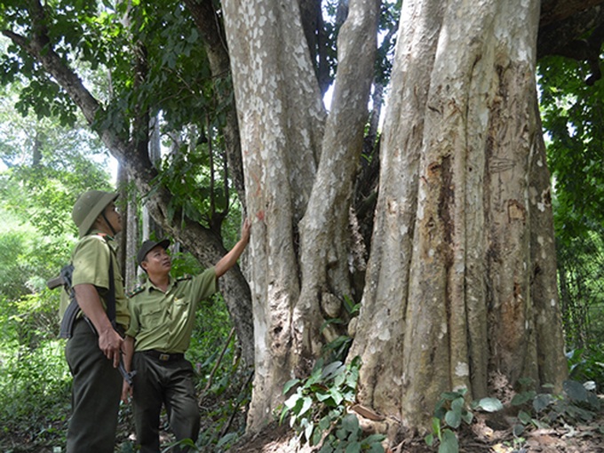 National parks threatened by hydropower plants - 1