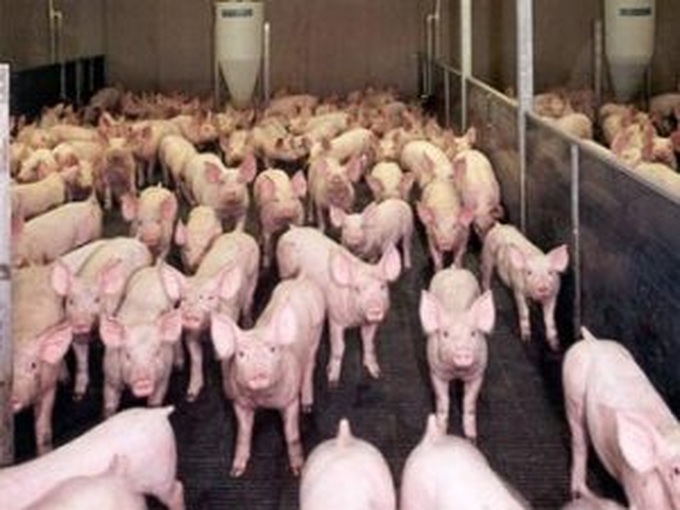 ADB, Vietnam to enhance climate smart agriculture and aid effectiveness - 1