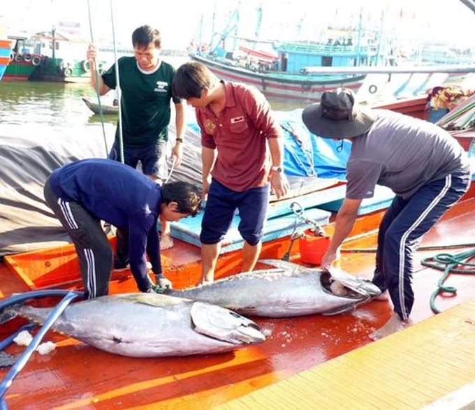 VND16 trillion approved to support fishermen and Coast Guard - 1