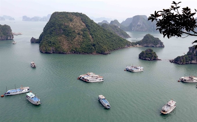 Hạ Long Bay’s water under threats - 1 Hạ Long Bay’s water under threats - 1