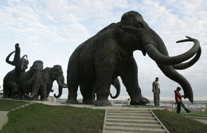 Mammoth fragments from Siberia raise cloning hopes - 1
