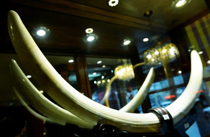 Chinese ban on ivory sales goes into effect - 1 Chinese ban on ivory sales goes into effect - 1