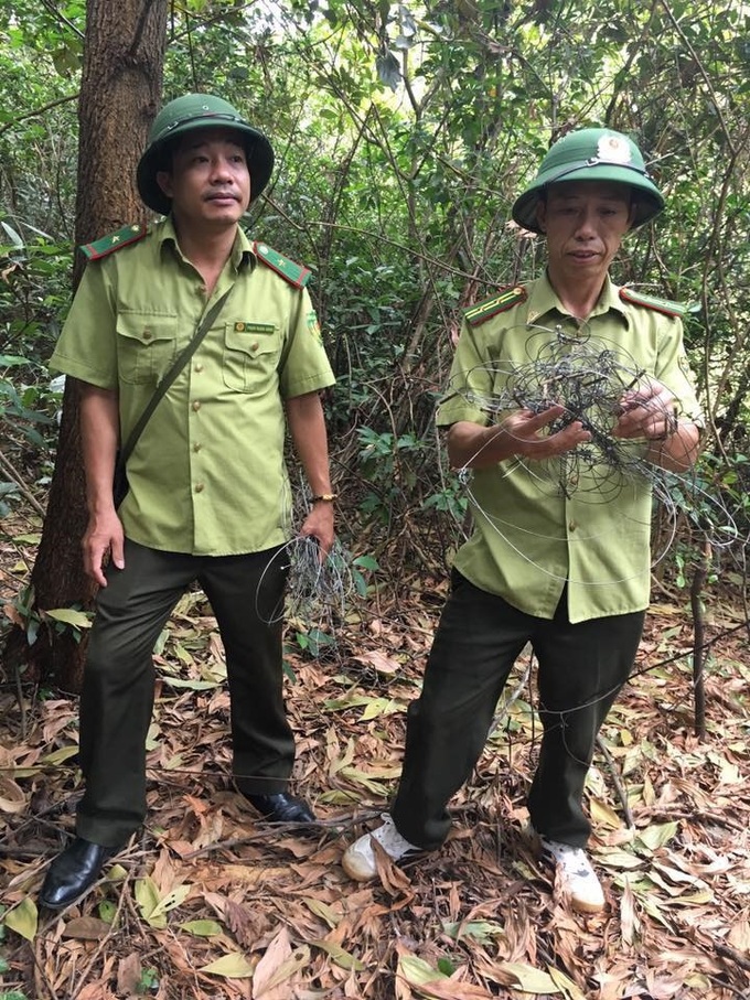 Ha Tinh launches poaching investigation - 1 Ha Tinh launches poaching investigation - 1
