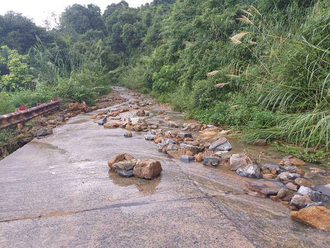 Erosion and landslide ravage Son Tra Island - 1