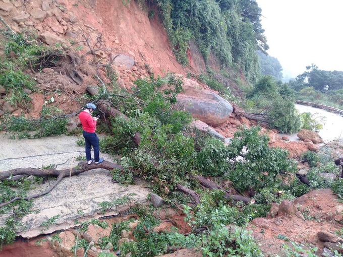 Erosion and landslide ravage Son Tra Island - 4