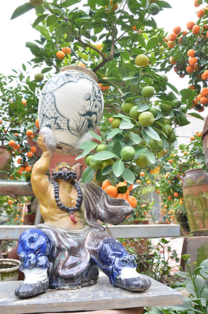 Tet trees in a jar win fans in Hanoi - 1 Tet trees in a jar win fans in Hanoi - 1