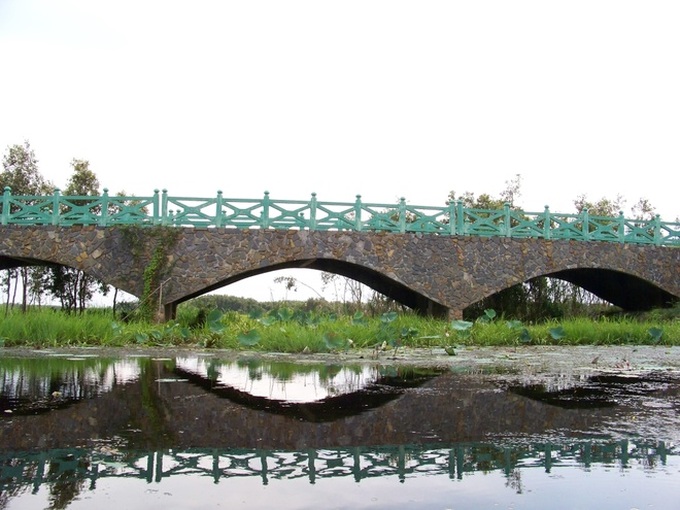 The longest path through the melaleuca forest of Vietnam - 2
