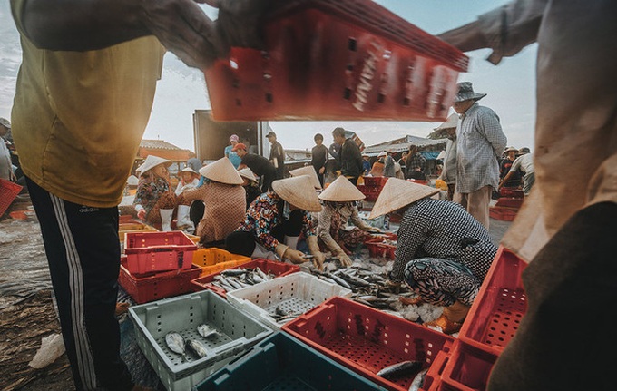Bustling fishing port in Ba Ria-Vung Tau - 5