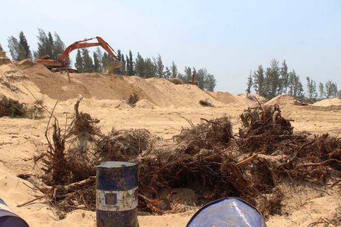 Protective forest destroyed for golf course - 1 Protective forest destroyed for golf course - 1