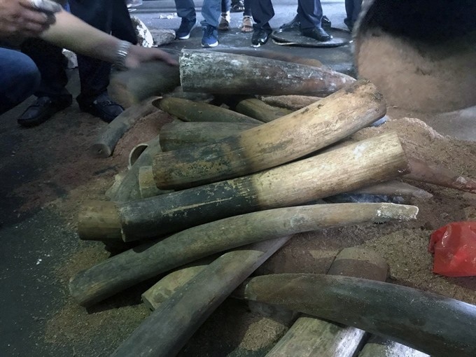 Vietnam’s illegal ivory market is thriving - 1 Vietnam’s illegal ivory market is thriving - 1