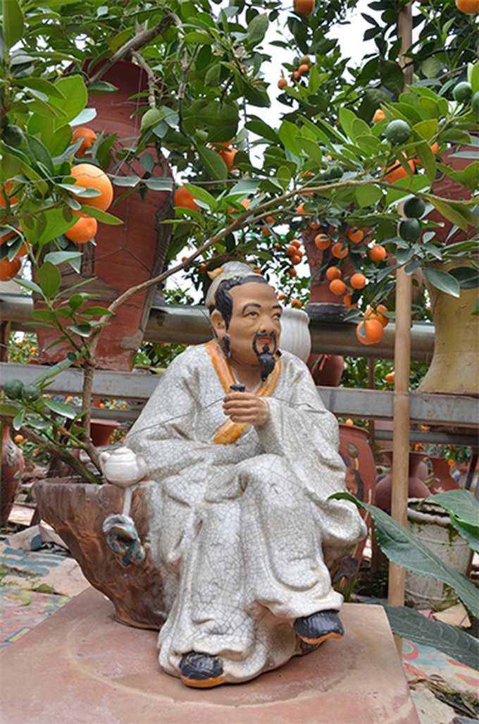 Tet trees in a jar win fans in Hanoi - 5 Tet trees in a jar win fans in Hanoi - 5