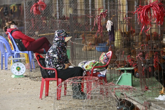 Bird flu scare prompts tighter restrictions - 5 Bird flu scare prompts tighter restrictions - 5