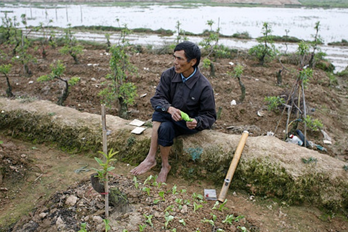 Peach orchards threatened by urbanisation - 6 Peach orchards threatened by urbanisation - 6