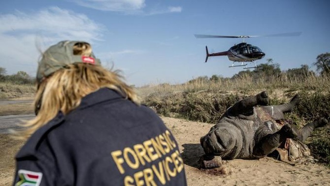 Asian stars enlisted to fight African rhino poaching - 1