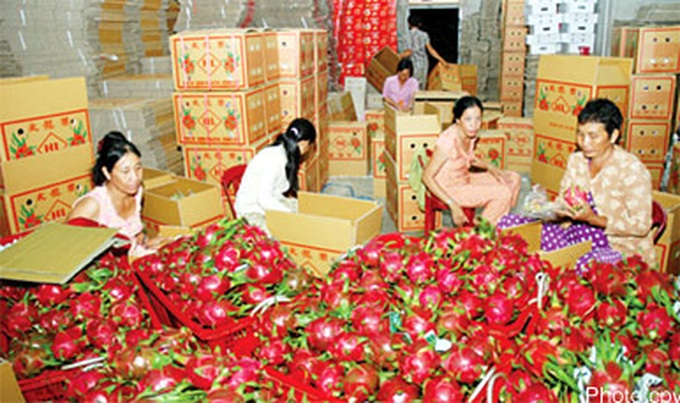 Dragon fruit enters US market - 1