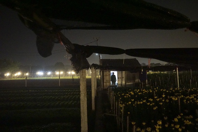 Hanoi flower village sparkles at night - 7