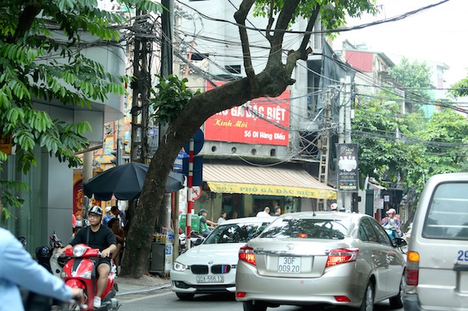 Hanoi trees at risk of collapse - 6