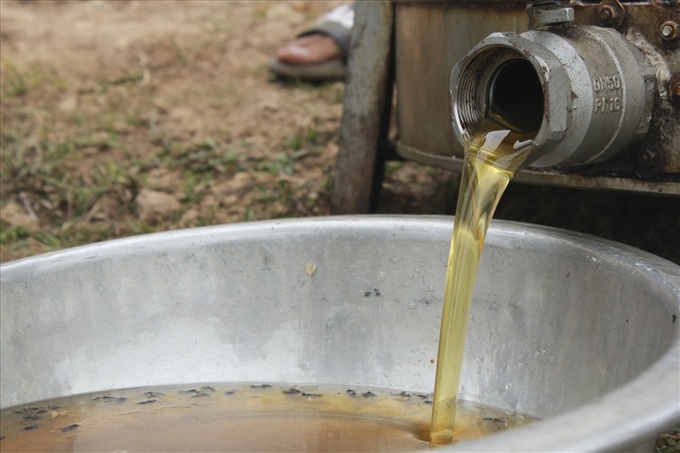 Honey harvesting season in Hung Yen - 6
