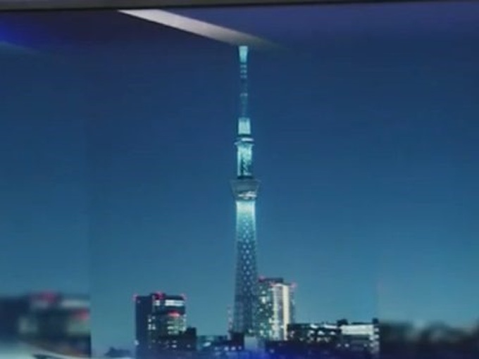 VTV, SCIC withdraw capital from giant tower project - 1