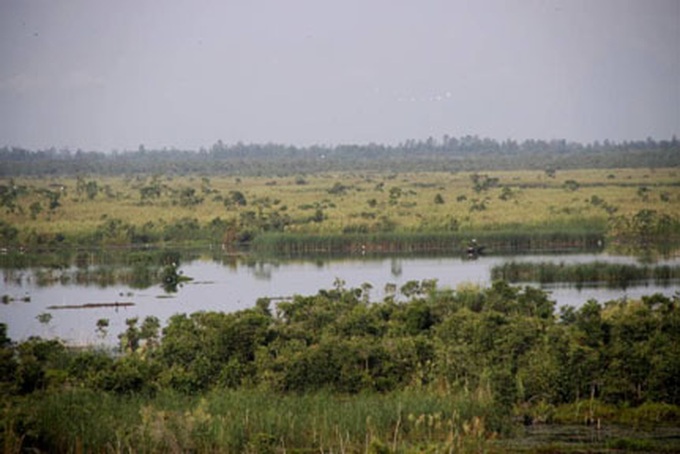Mekong Delta aims for sustainable wetland usage - 1