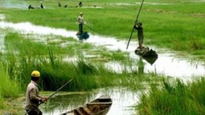 Denmark helps Mekong Delta province deal with climate change - 1