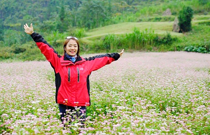 Buckwheat flowers bloom in Ha Giang - 4 Buckwheat flowers bloom in Ha Giang - 4