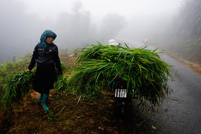 Sapa's first chilly weather of the year - 7