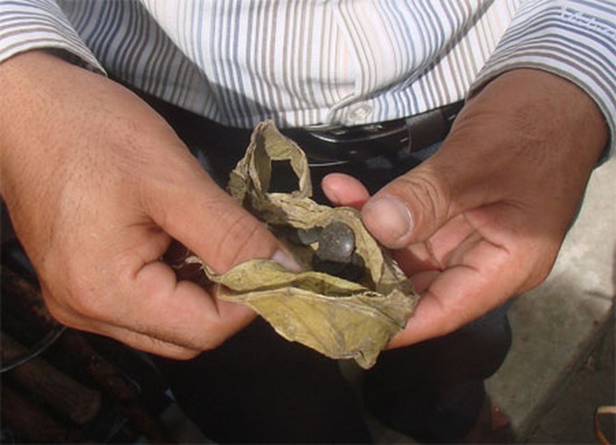 Handmade tools enable father and son’s survival in forest for 40 years - 13 Handmade tools enable father and son’s survival in forest for 40 years - 13