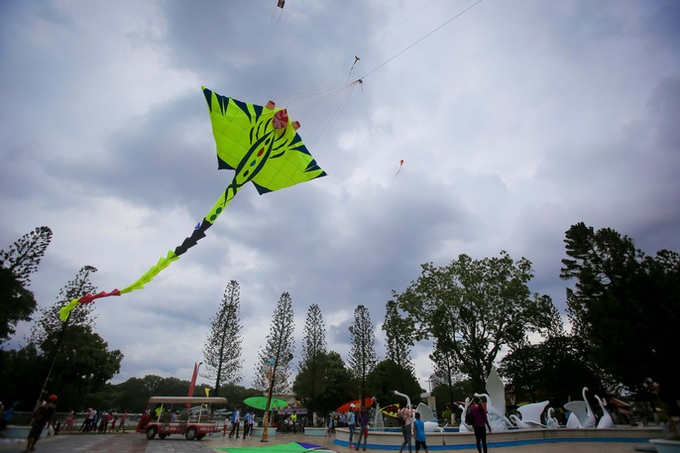 Kite festival in HCM City - 1