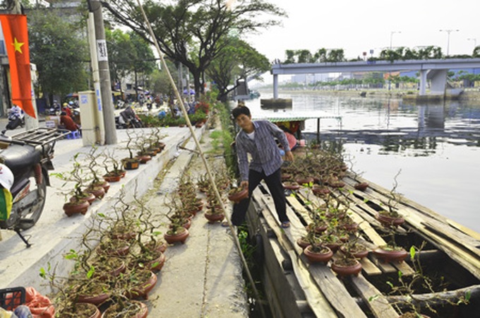 Canals coloured with flowers - 5