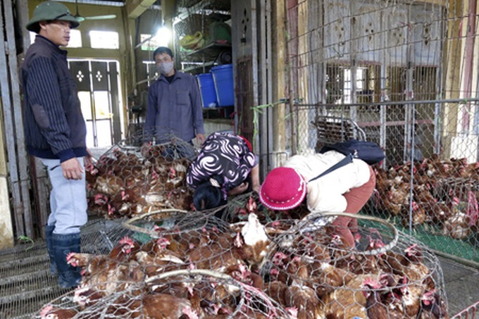 Bird flu scare prompts tighter restrictions - 7 Bird flu scare prompts tighter restrictions - 7