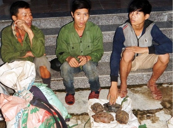 Large-number wild animal traps seized in Quang Binh - 1 Large-number wild animal traps seized in Quang Binh - 1