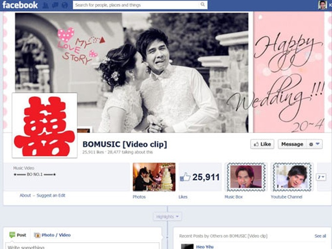 Social networking sites trouble for Vietnamese celebrities - 1
